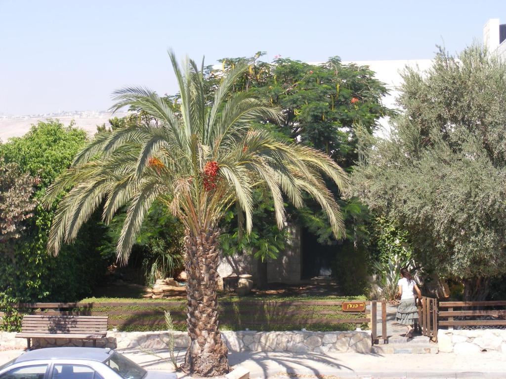 Nof Canaan Kfar Adumim 외부 사진